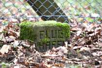 PH_20160306_4214